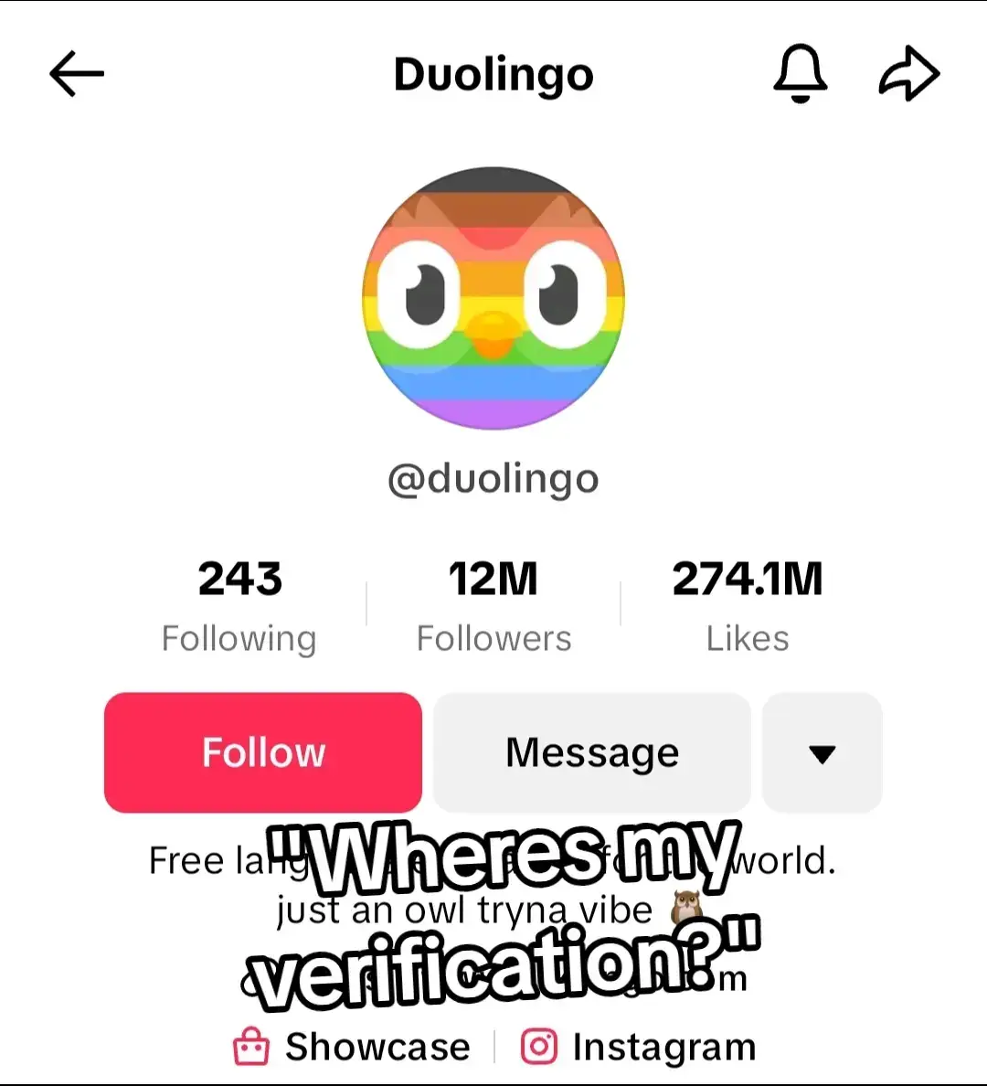 #duolingo #duolingobird #fyp #lgbtq #tiktok #itsgonee #fypage 