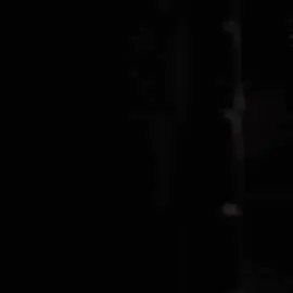 The Return of Feathers McGraw 🪶🐧|| #fyp #foryou #foryoupage #feathersmcgraw #feathersmcgrawedit #wallaceandgromit #wallaceandgromitvengeancemostfowl #edit #ae #aftereffects #viral #viralvideo @Luke Soccer and chat LK @Eevee007King 