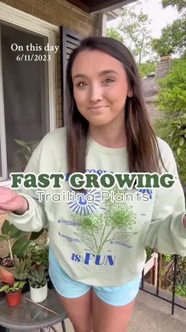 Fast growing AND beginner friendly trailing plants 🪴 #onthisday #plantgrowth #trailingplants #beginnerplants #plantparent 