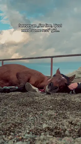 recharging… #trust #horse #girl #Love #equestrian #farmgirl #xantosthedonkey #fyy #fyp #foryoupage #viral