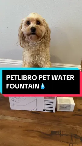 Sooo in love with this product water fountain from petlibro makes it so much easier to keep me hydrated.😍 #PetsOfTikTok#catsoftiktok#dogs#cats#petlibro#water#waterfountain#automatic#petaccessories#petlover#petgadgets#fy#foryoupage#shop#deal#catlover#doggo#tiktoksummersale#petstv#pet#@Petlibro 