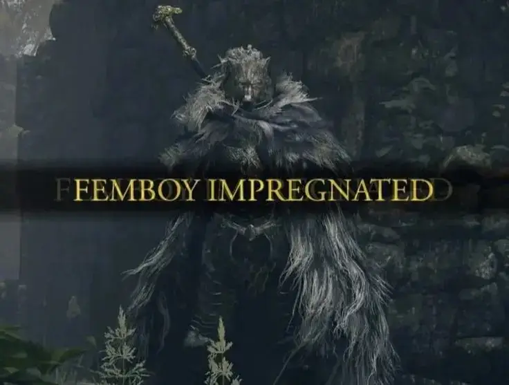 #darksouls #darksouls2 #darksouls3 #eldenring #bloodborne #fromsoftware #meme #viral #fyp #fypジ #dc 