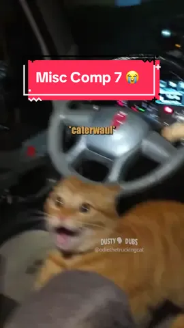 😭 Dusty Dubs Hilarious Misc Comp 7 🎥: odiethetruckingcat (IG) / Nathyn B. / Taylah T. / Ethan W. / @MairaKf🌙 (website submissions) #animalvoiceover #dustydubs #hilarious 