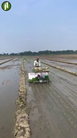 Mesin tanam padi jarwo #pertanian #mesintanampadi #petanimuda #modern #praktis 