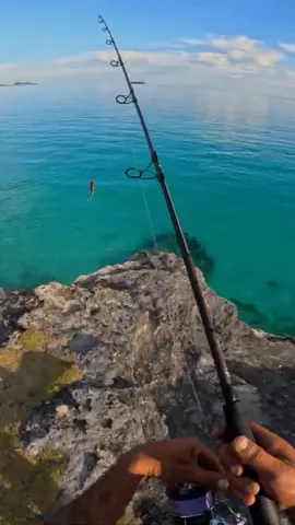 #Fishing #outdoorsman #foryou #survivaltipps #campinglifestyle