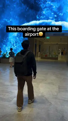 No, because I would definitely miss my flight watching this🤣 #Pubity (IG: boyonglobe)