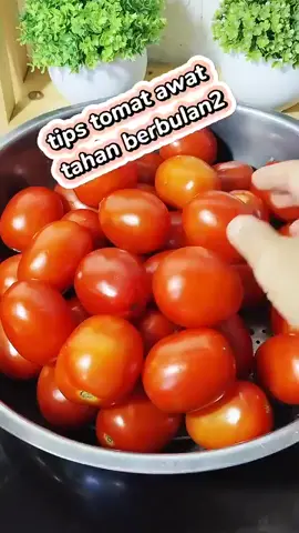 #fypシ゚viral  tips #tomato awet berbulan2