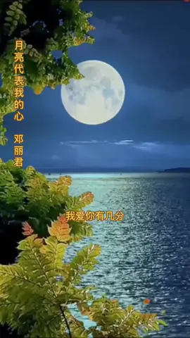 #邓丽君 #月亮代表我的心 #好歌分享 #tiktoksg 