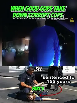 Part 5| When Good Cops Take Down Corrupt Cops