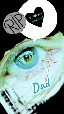 @incubusofficial @Incubus #onthisday #fy #fypage #fypシ゚viral #fyppppppppppppppppppppppp #foryou #foryoupage #dad #birthday #june #gemini #Love #loveyou #music #eyes #usa #unitedstates #minnesota #beauty #integrity #MentalHealth #cancer 