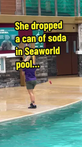 She dropped a can of soda in Seaworld pool #seaworld #seaworldorlando Sea Lion and Otter Spotlight #otter #otters 