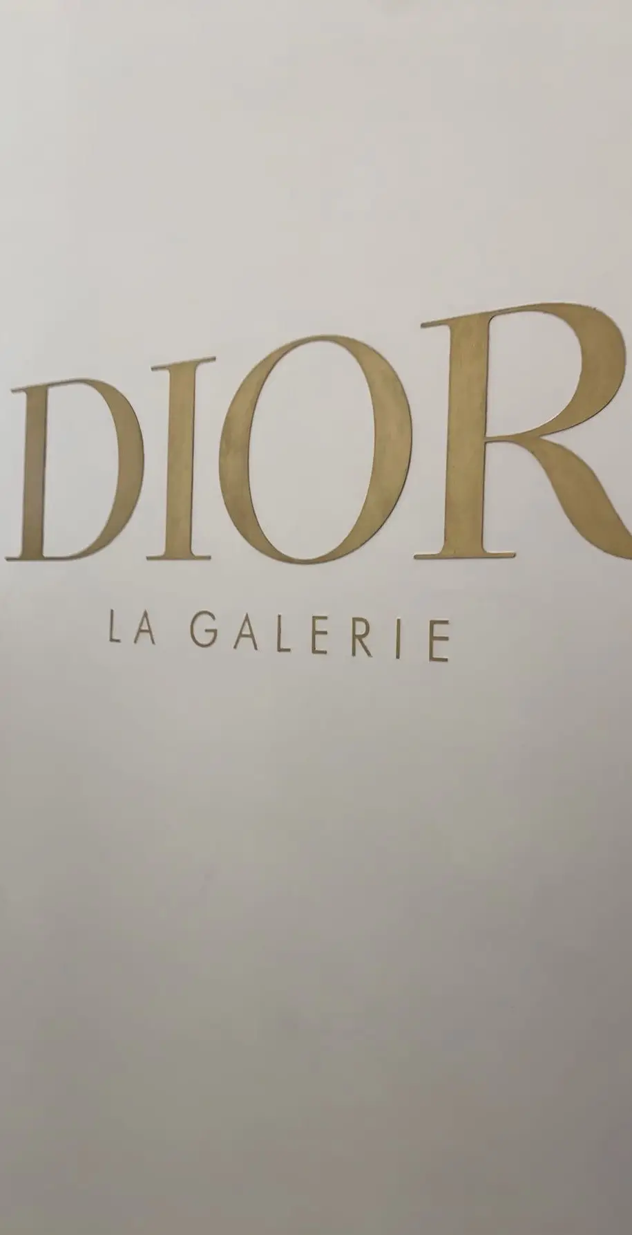 Magnifique 😻 #pourtoi #foryou #fypp #dior #galerie #galeriedior #diormuseum #diorgallery 