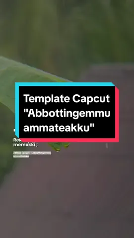 Template lirik abbottingemu ammateakku #liriklagubugis #bugis #liriklagu #lirik #viral #CapCut 
