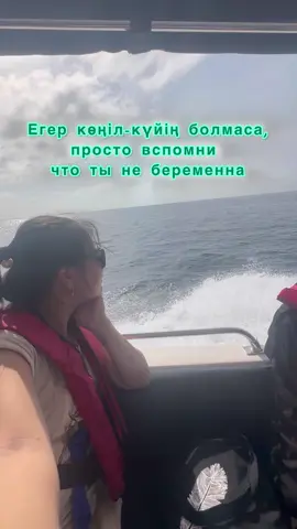 #rek 