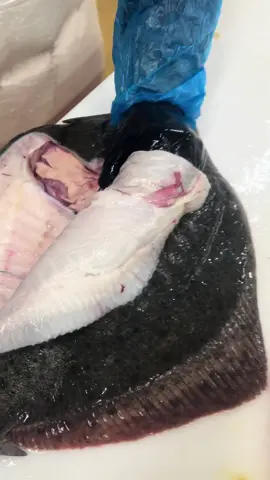 Turbot #turbot#pourtoi #pourtoii #foryou #foryoupage 