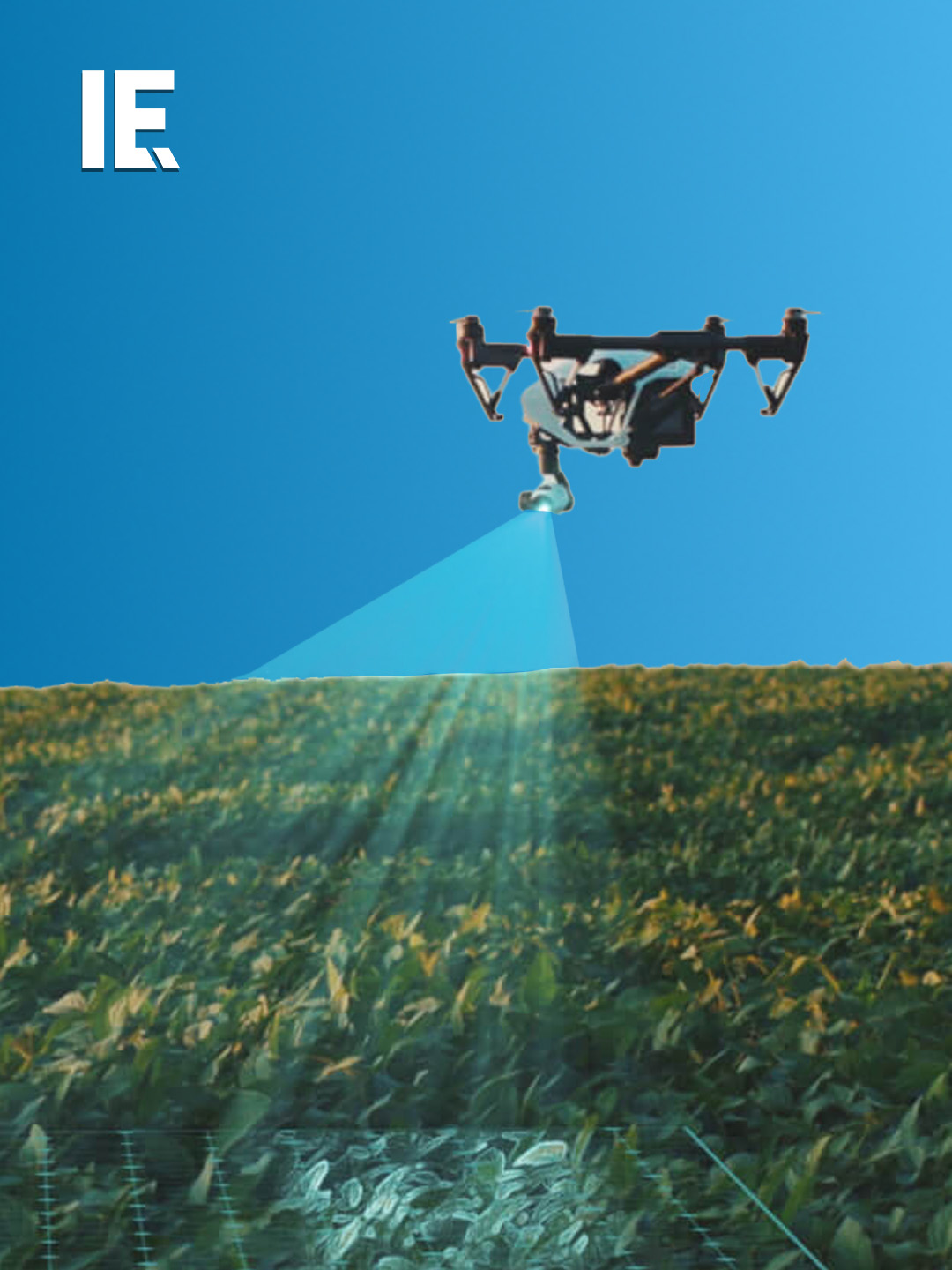 Agriculture drones can help with several aspects of the process at once. Here, they're used to manage pests, while also delivering a count of successful bean sprouts. That helps feed into calculations of likely yield, and the accompanying equations of maintenance. #farmers #drones #agriculturaldrones