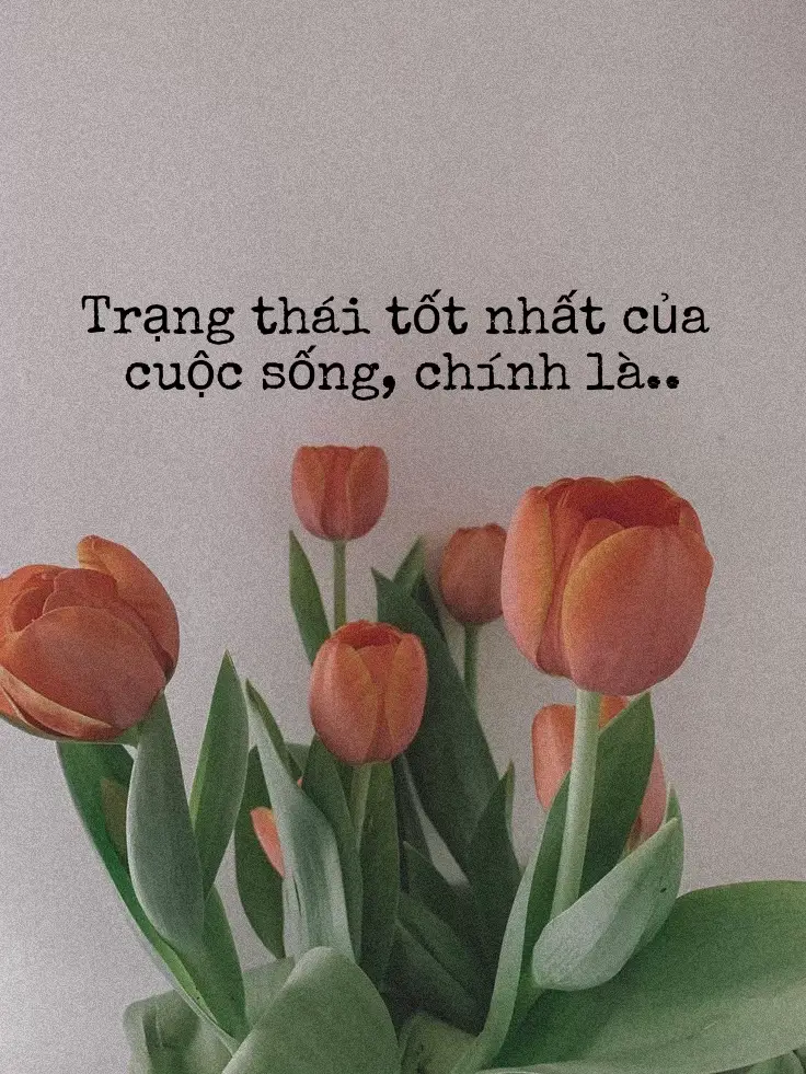 Không vì cuộc sống của ai mà choáng ngợp, cũng không vì chạy theo ai mà thay đổi tâm tình. Âm thầm nỗ lực, vì cha mẹ mà cố gắng đạt được những điều tốt đẹp hơn. Đó chính là cuộc sống tốt nhất thế gian này.#foryou #xuhuong #dongluc #BookTok #trichdanhay #yeubothichsach 