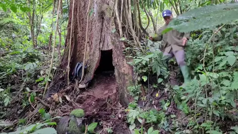 #camping #bushcraft #survival 
