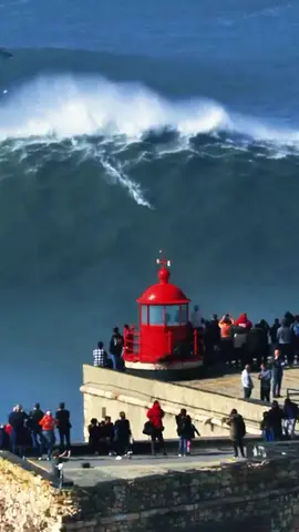 🌊🌊 Por que em Nazaré quebram as maiores ondas do mundo? 🌊🌊 Você conhece as ondas Gigantes de Nazaré, em Portugal. Mas como elas se formam? Vamos descobrir! 👇 Cânion Submarino de Nazaré 🌊 Esse é um dos maiores cânions submarinos da Europa, com profundidades que chegam a 5.000 metros! Ele canaliza a energia das ondas do Atlântico, concentrando-as e criando ondas enormes de até 30 metros. Topografia da Costa 🏞️ A configuração única da costa de Nazaré, com um fundo do mar que sobe abruptamente, empurra as ondas para cima, aumentando sua altura de forma espetacular. Ondas Longas do Atlântico 🌐 As longas ondulações (swells) que viajam por todo o Oceano Atlântico trazem muita energia, que é amplificada pelo cânion submarino. Ventos e Tempestades Atlânticas 🌬️🌪️ Tempestades e ventos fortes no Atlântico Norte geram ondas que viajam milhares de quilômetros. A direção e a força do vento podem aumentar ainda mais essas ondas à medida que se aproximam de Nazaré. Interação de Ondas 🌊➕🌊 Quando diferentes sistemas de ondas se encontram, podem se somar e criar ondas ainda maiores, em um fenômeno chamado interferência construtiva. Esses fatores se combinam para criar as condições perfeitas para algumas das maiores ondas do mundo! 🌍🌊 Quer saber mais sobre Nazaré? Deixe um comentário! 👇🗨️ 🏄 @lucaschumbo  🏄 @rodrigokoxa  🏄 @sebastiansurfs  🏄 @masonhycebarnes  🎙️ @godidi22  🎞️ @t_correia #gigantesdenazaré #gigantesdenazarenotiktok #gigantesdenazare 