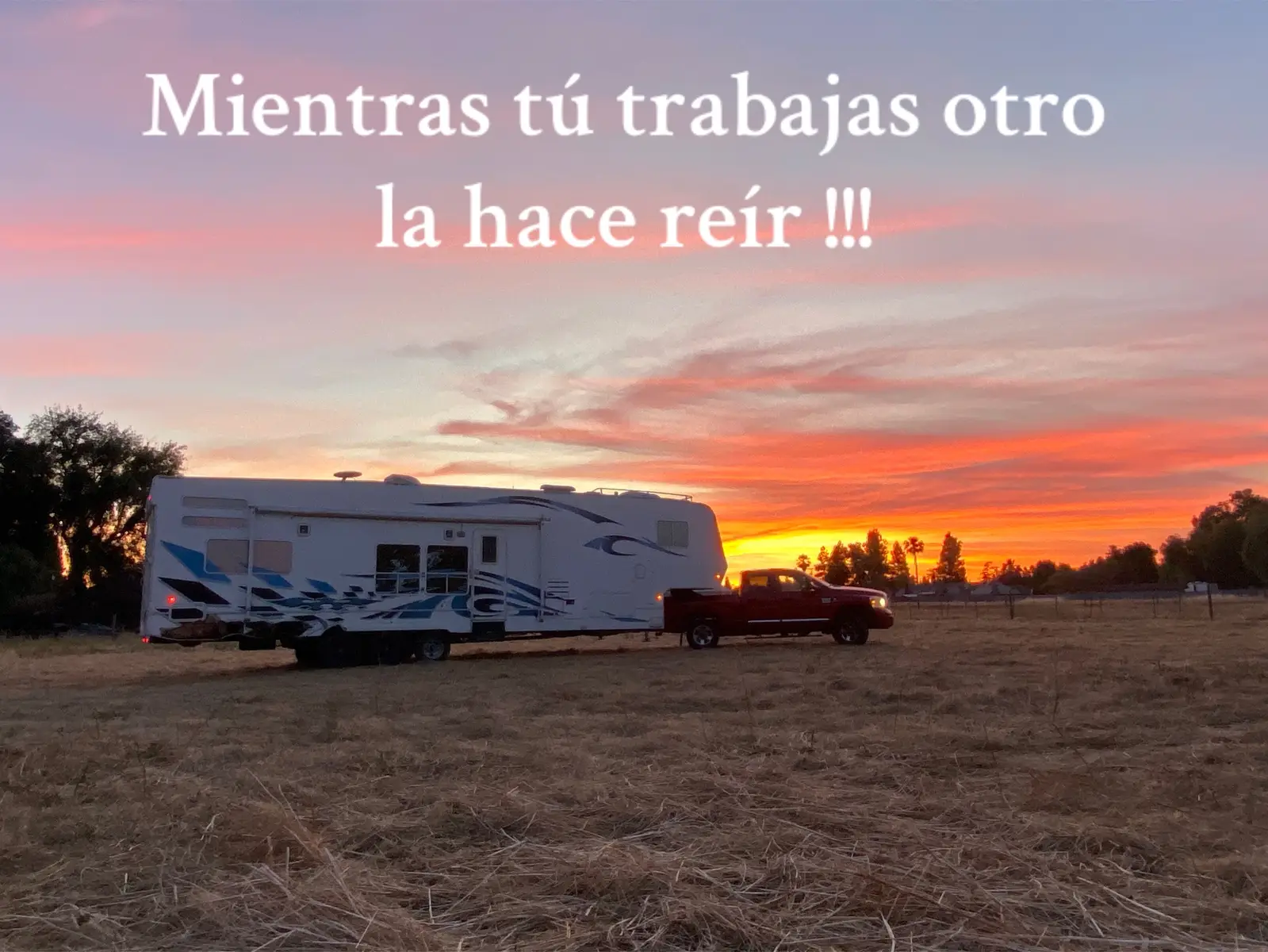 #parati #foryoupage #fy #viral #viralvideo #perrainfiel #paratiiiiiiiiiiiiiiiiiiiiiiiiiiiiiii 