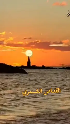 #CapCut #يارسالة_عزيزه_وادي_اقراها #💔💔#اكسبلورexplore 