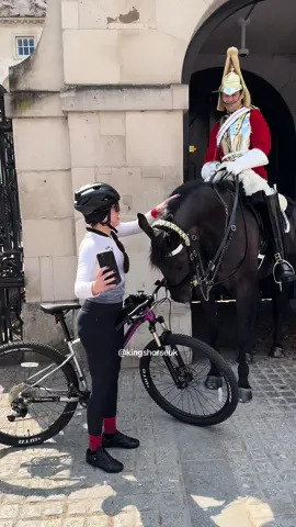 “Goodo Boy” One of the most beautiful king’s Horse every tourist want to see him  #fyp #foryoupage #horse #london #horseguardsparade #viral #foryou #kingsguard 