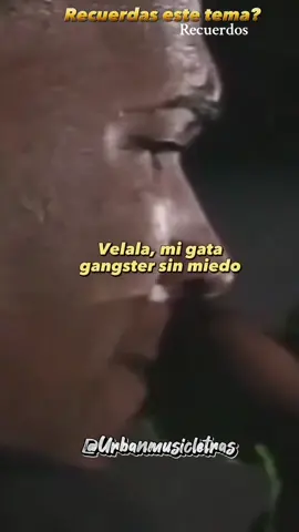 #Recuerdos Don omar - Gata gangster #donomar #gatagangster #letrasdecanciones #reggaetonclasico #reggaetonoldschool #reggaetonviejito #reggaetonviejo #rolitasconletras30s #rolitas30segundos #estadosdewhatsapp #cancionesstorys 