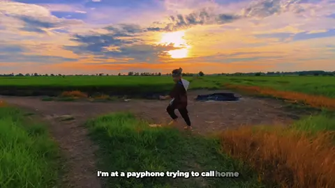 #CapCut Farmer boy from Vietnam . #payphone #vandichill #nongdan #baby #sunset #fyp 