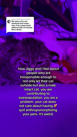 Replying to @Qeleshja do better. there is no reason to allow your intact male cat outside. fix him. he can impregnant 100 stray females a year. you’d buy him a dress??? why do people feel such attachment to their animals 🥜s??? yall are sick 