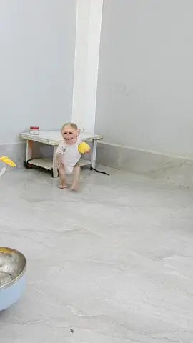 So Funny! Clever cutis monkey  #monkey #TikTokVideo #animales 