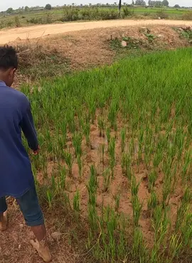 Wow