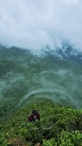 ප්‍රශ්න අහපු නැති එකම තැන සොබාදහම...🍃⛰️ . . Embracing the serenity of misty Thunhisgala, where nature whispers in every breeze. 🌿🌄 . . #Thunhisgala #MistyMountains #NatureLovers #SriLanka #TravelSriLanka #CampingLife #ExploreNature #Greenery #ScenicViews #AdventureAwaits