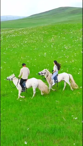 Người Mông Cổ  ...!!!                              #xh #nhachaymoingay #canhdepthiennhien #bolero #xuhuong #foryou #CapCut 