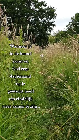 Ik weet dat hij er zal zjjn wanneer het zover is ..#hemel #soulmate #bordercollie #ghostthemesong #Skyler #fyp #