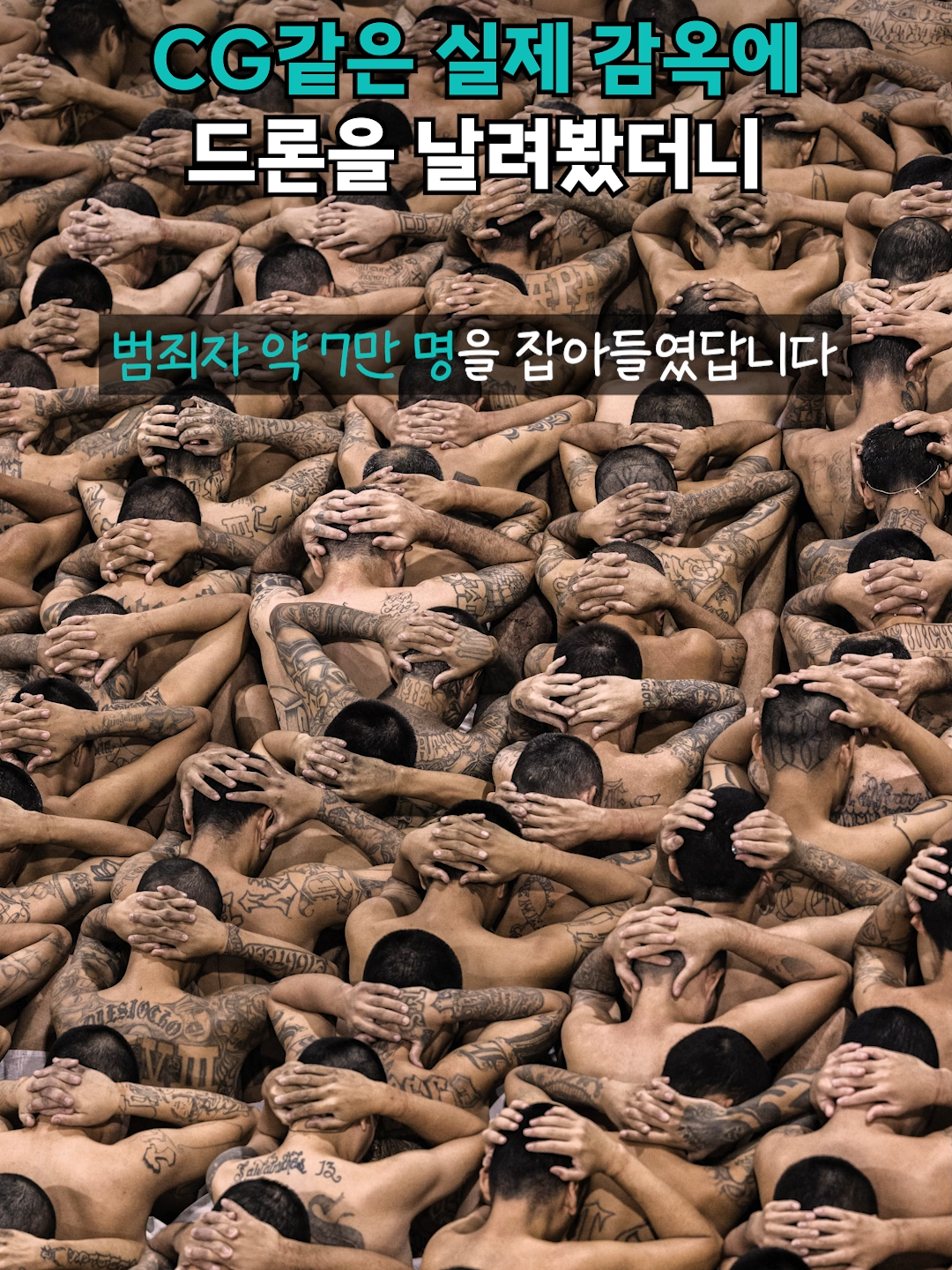 어디서 문신 공짜로 해준 건가요? 엘살바도르 테러감금센터 근황 #갱단 #CECOT #VMG #비디오머그