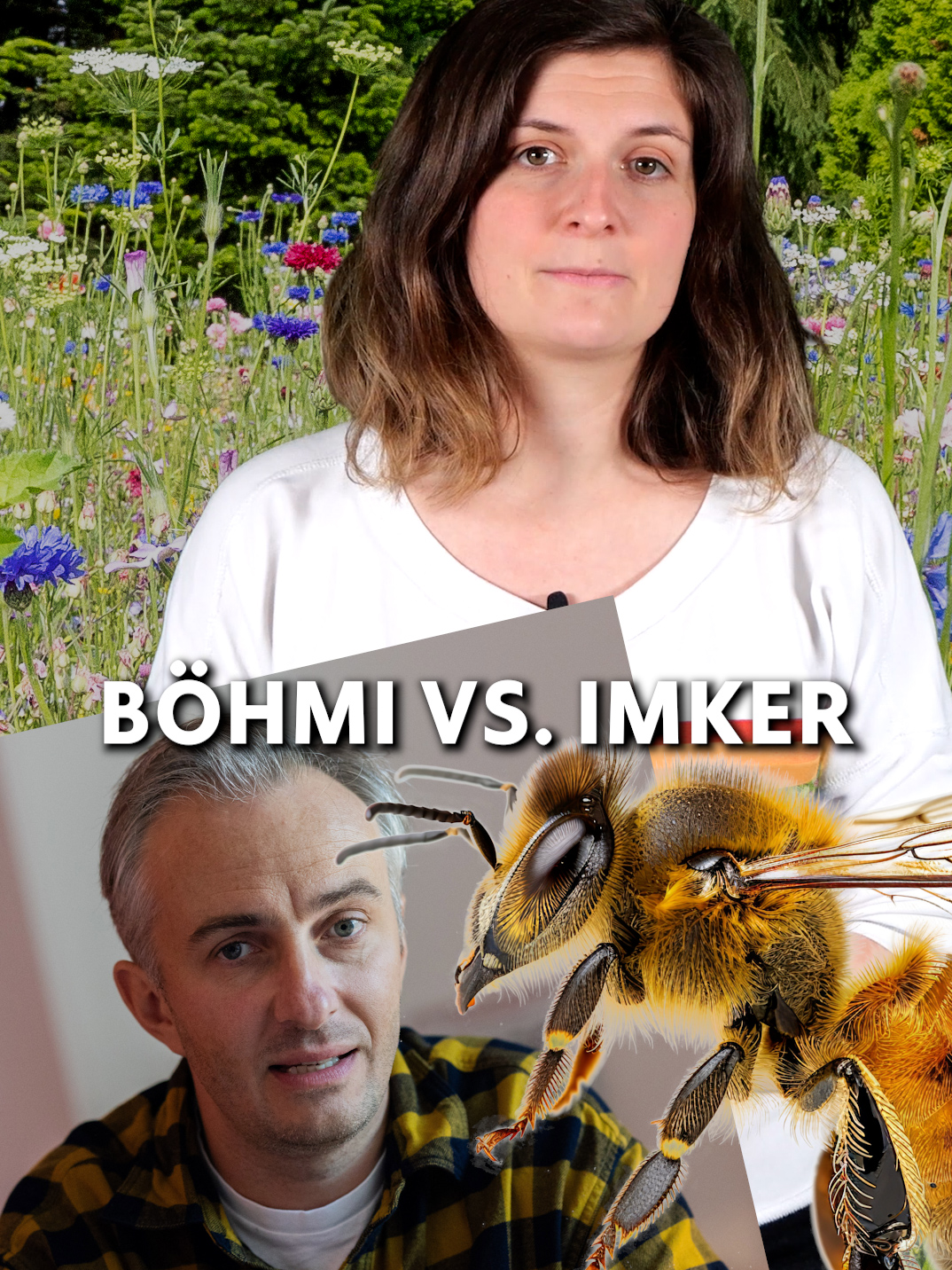 Wer hat deiner Meinung nach recht? #janböhmermann #böhmermann #böhmi #beewashing #fürdich