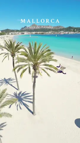 Alcúdia Beach 📍Mallorca, España 🇪🇸 👇🏾 🇬🇧 “Explore the stunning Alcúdia Beach in Mallorca! 🌊 Embrace the crystal-clear waters, exciting water sports, and vibrant beach vibes. Dive into the ultimate beach experience in the heart of the Mediterranean. Follow us to discover the hidden gems of Mallorca’s coastline! 🌴☀️ #AlcudiaBeach #Mallorca #BeachVibes” 🇪🇸 “¡Explora la impresionante playa de Alcúdia en Mallorca! 🌊 Sumérgete en aguas cristalinas, deportes acuáticos emocionantes y un ambiente playero vibrante. Vive la experiencia de playa definitiva en el corazón del Mediterráneo. ☀️ #PlayaDeAlcudia #Mallorca #AmbientePlayero” . . . . #montañas #españa🇪🇸  #ig_mallorca #mallorca #travelmallorca #españa #baleares #palamademallorca #reelstoday 