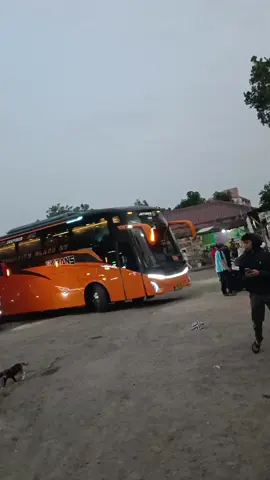 Angkatan Pagi Buta 27 Trans Jakarta - Malang Angkatan Habis Subuh  #busmania #fyp #viral 
