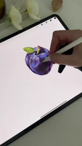 Drawing Process in Procreate on iPadPro13 M4 - Plum - Tutorial - Step by step - Procreate drawing  ✏️ In this tutorial I used my Watercolor Brushes for Procreate. Link in bio ✏️ More video tutorials (step by step) on my YouTube channel #procreate #procreatedrawing #drawing #drawingtutorial #drawingprocess #ipadpro2024 #applepencilpro #ipadpro13 #artist #arttutorial #ipadprom4 #plum #berry #watercolor #digitalmarketing 
