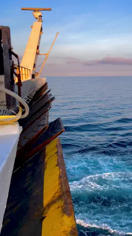 Bye bye #byebye #tunisia🇹🇳 #italy🇮🇹 #ghorba🗼🇫🇷👻🇪🇺🇪🇸 #bateau #gnv #civitavecchia #foryou #viral #tiktok #gnvferries #fyp #الشعب_الصيني_ماله_حل😂😂 #byebyesundayblues 