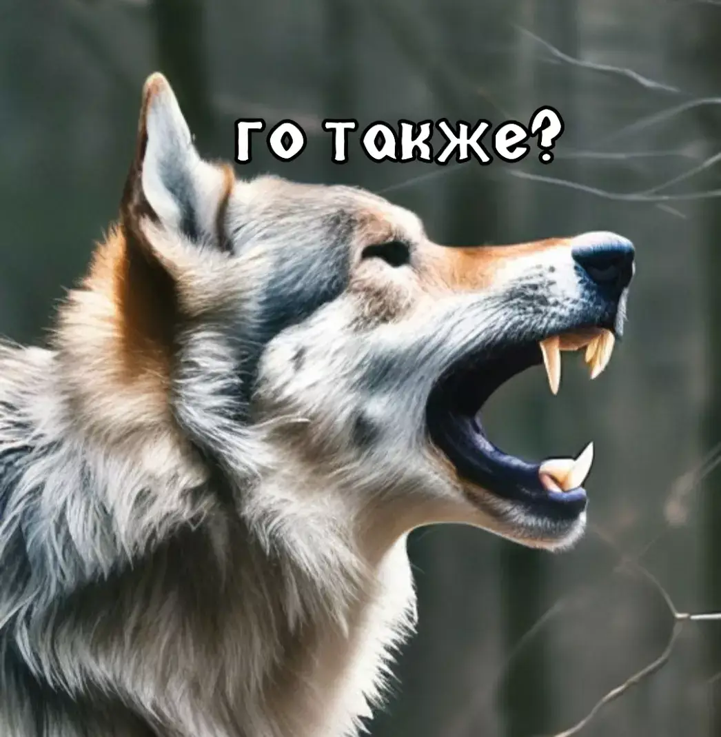 го также?#