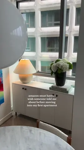 10/10 reccomend them all if you live in a small space ( or not )  #homeorganization #kitchenorganization #apartmenttherapy #apartmentorganizing #apartmentorganization #smallspaceliving #smallspacesolutions #maximizingspace #maximizingstorage #storagesolution #organizationhacks 
