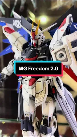 MG 1/100 Freedom Gundam ……………………………………………………………… #freedomgundam #kirayamato  #actionfigure #bandai #swordstrikeo#kirayamatola#actionfigureo#bandaila#bandainamco  #gitsgunplade#gundamtiktoka#gunplade#gunpla_igme#gunplabuilderbu#hobbymo#mastergradeil#mgexgu#mechanicas#metalbuild  #modelkitki#mobilesuitgundam#メ#plasticmodelkitム #plasticskirtde#seeddestinyツ#メタルビルドン#ガンダム＃#ガンダム心者 #ガンプラ好きな人と繋がりたい #ガンプラは自由だ