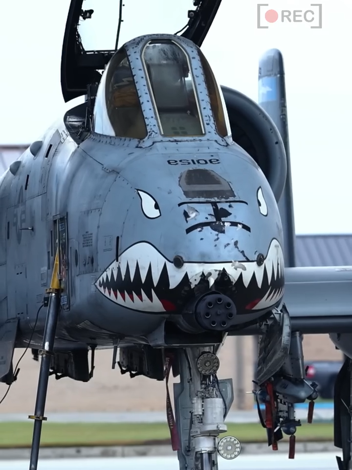 El A-10 Warthog EL halcón de los aviones #a10warthog #usarmy #fighterjet #paratii #foryou