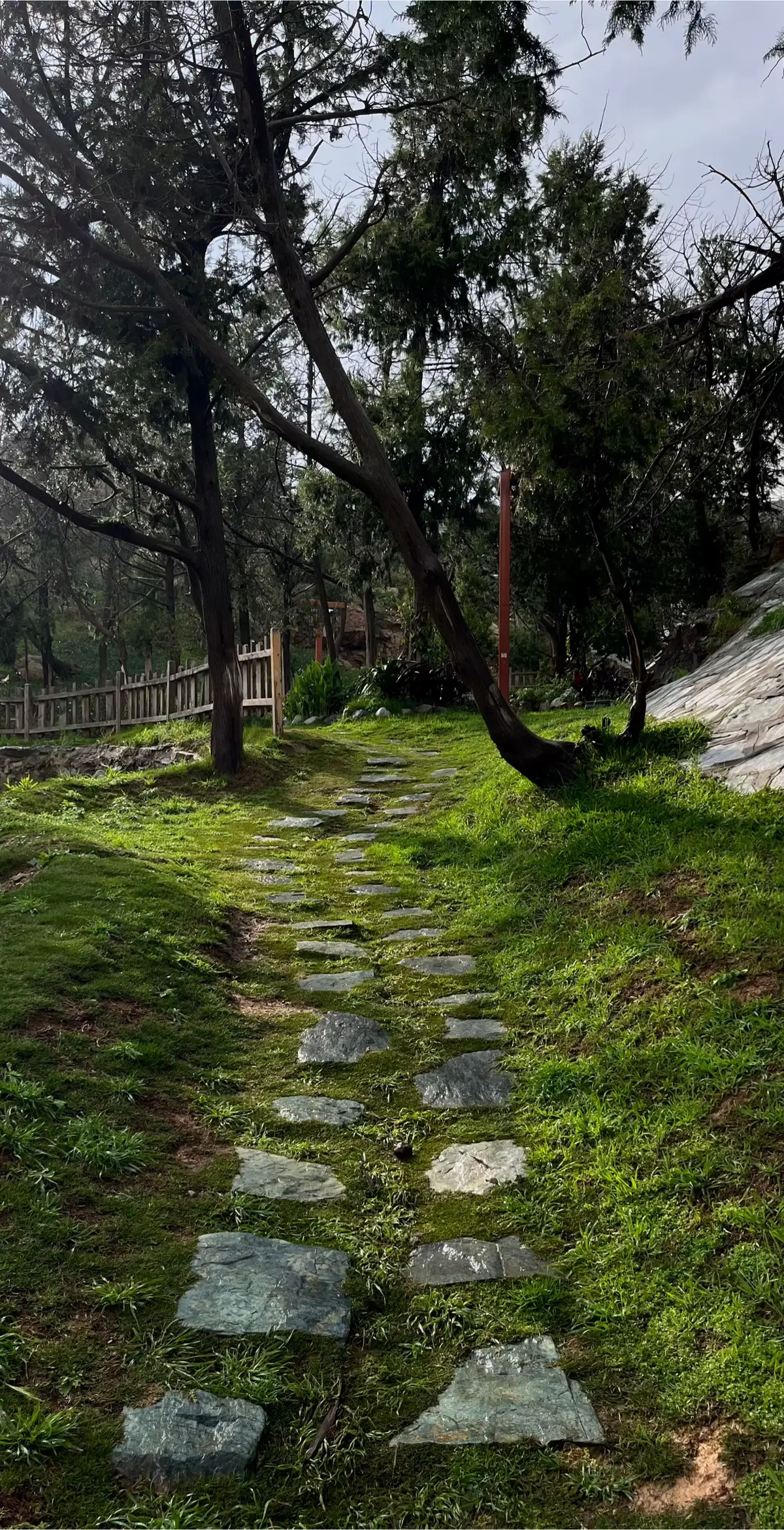 #غابة_رغدان #albaha #قران #explor #مطر #الباحه_الان 