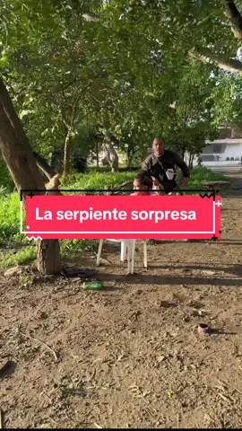 La serpiente sorpresa #viral #viralvideo #humor #colombia #viraltiktok #viralpage #funny #funnycats #mundo 