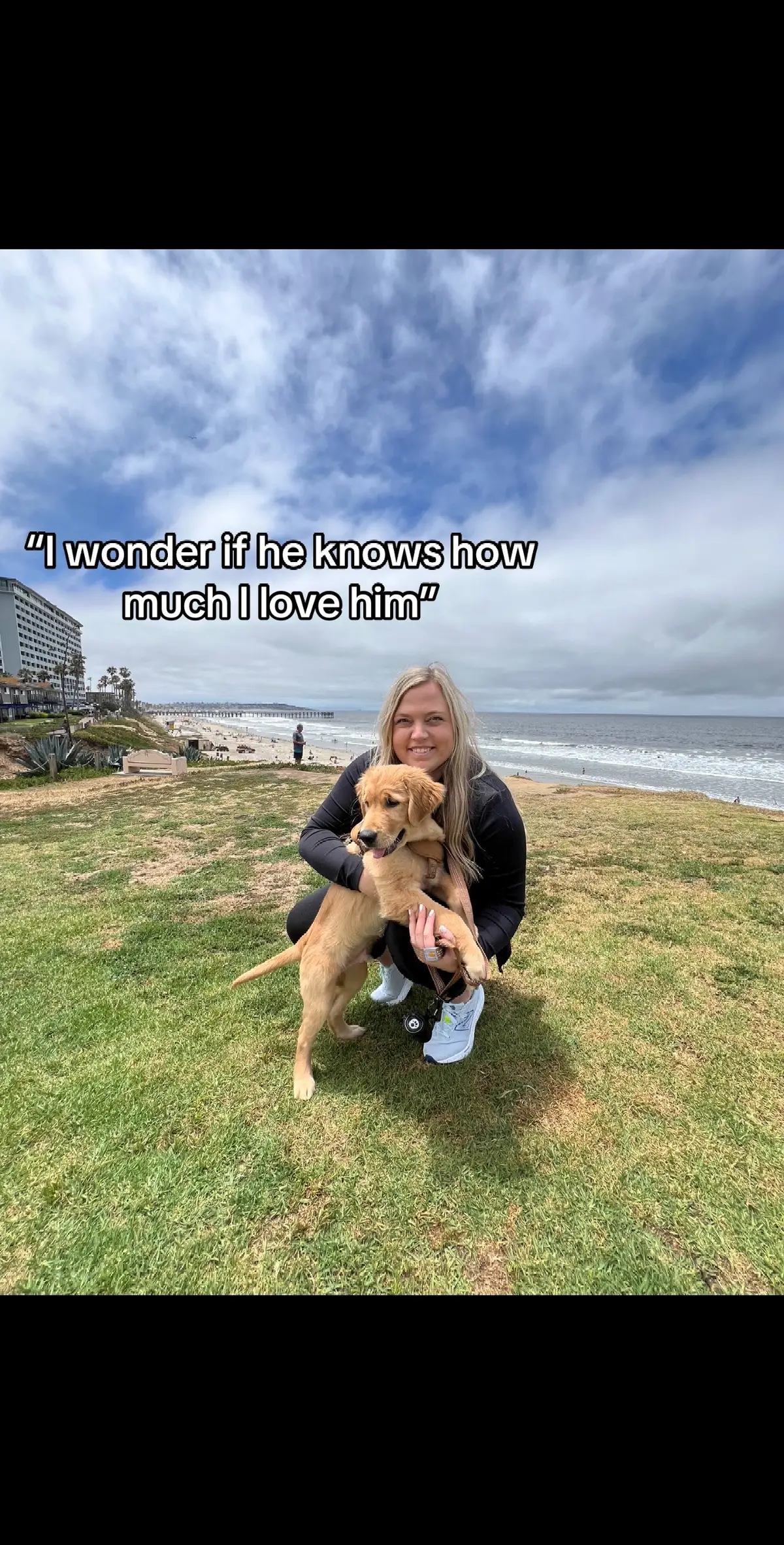 #Chad #goldenretriever #goldenpuppy 