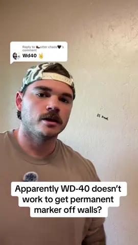 Replying to @🦦otter chaos🖤 #wd40 #DIY #hack #hacks #lifehacks #LifeHack #homehack #foryou #foryoupage 