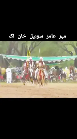 @Amirsohail Lak  #horsedance #tentpegging #nezabazipakistan #nezabazi #hunzlatayyab #สโลว์สมูท #สปีดสโลว์ #viral #trending #foryoupage #foryou #fyp #horselovers 