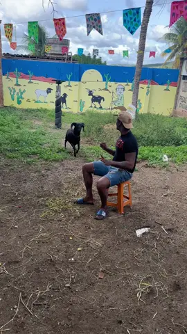 Pense em uma pancada